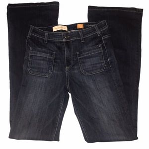 Anthro Pilcro and the Letterman Super Script Jeans